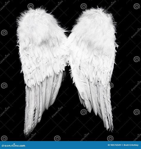 Real Angel Wings