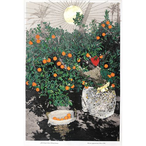 Jaffa Orange Tree – FAME