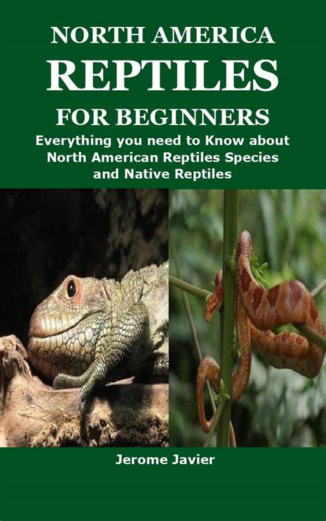 NORTH AMERICA REPTILES FOR BEGINNERS: Everything you need to Know about North American Reptiles ...