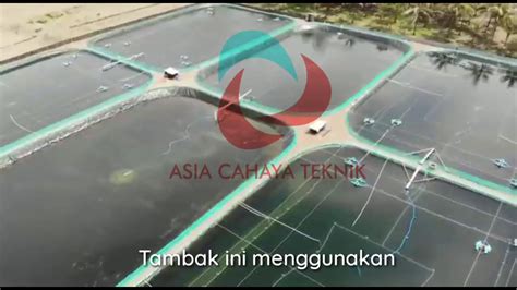 Tambak udang intensif , dengan menggunakan HDPE Geomembrane ACT - YouTube