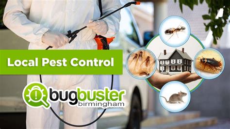 Pest control services near me - rilowow