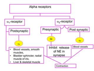 Alpha blockers | PPT