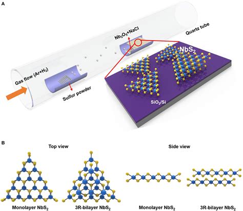 Frontiers | Controllable Growth of Few-Layer Niobium Disulfide by Atmospheric Pressure Chemical ...