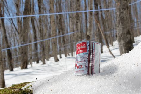 Quebec maple syrup gets a new look » strategy