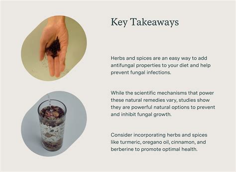 What Are the Most Effective Natural Antifungal Herbs and Supplements?