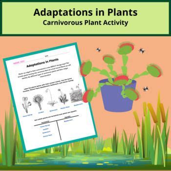 Traits and Adaptations in Plants - Photosynthesis & Carnivorous Plants ...