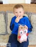 Valentine Owl Craft - Paper Treat Bags with a Free Printable! - Kitchen Fun With My 3 Sons