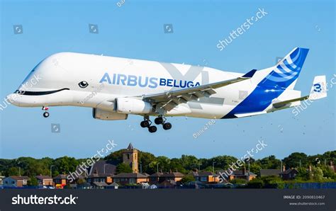 346 Airbus Beluga Images, Stock Photos & Vectors | Shutterstock