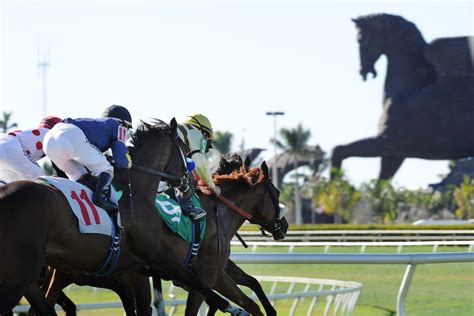 Countdown To The Pegasus World Cup Invitational 2019: Meet The Contenders