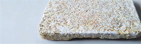 Materials from fungal mycelium - Fraunhofer IAP