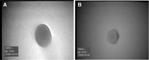 Appearance of A) PLGA nanoparticle and B) PLGA nanoparticle conjugated... | Download Scientific ...