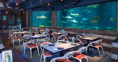 Sharks Underwater Grill is a Hidden GEM at SeaWorld Orlando