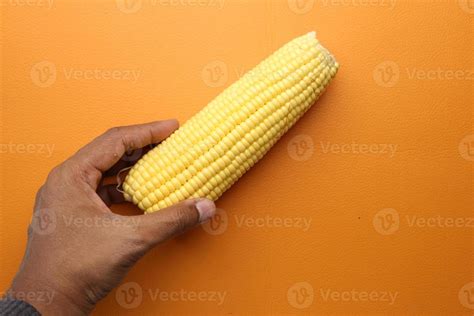 corn cob on white background close up 21867406 Stock Photo at Vecteezy