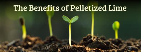 benefits of pelletized lime