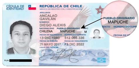 Proponen incorporar identidad indígena en el carnet: “Es un derecho básico para seguir avanzando ...