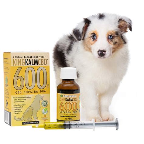 King Kalm 600 MG CBD & Copaiba Essential Oil for Australian Shepherds