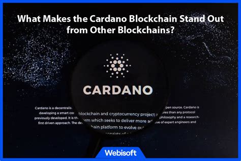 Cardano Programming Language: A Game Changer in the Blockchain Industry - Webisoft Blog