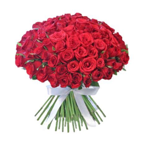 100 Red Roses – Innovative Greens