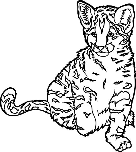 Real Cat Coloring Pages at GetColorings.com | Free printable colorings ...