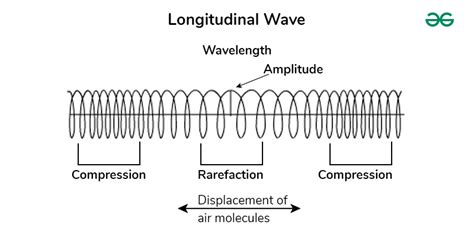 Longitudinal Wave: Definition, Examples, Formula, and Diagram