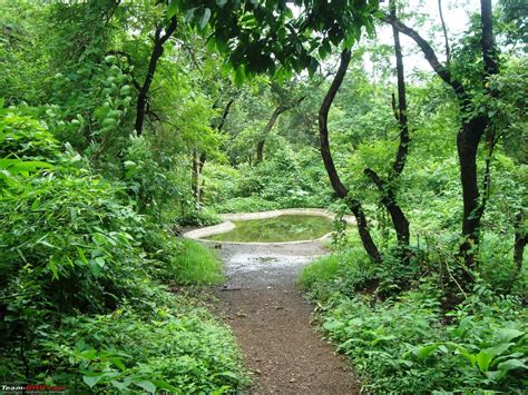 Shilonda Trail (Nature Walk) @ Sanjay Gandhi National Park, Borivali - Team-BHP