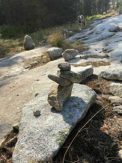 Canyon Lake Trail - Montana | AllTrails