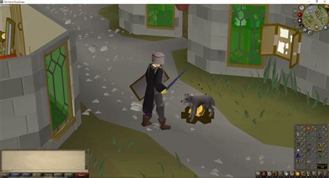 stray dog what u doing : r/osrs