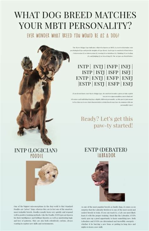 What Dog Breed Matches your MBTI Personality?