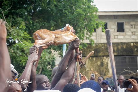 Upholding Our Culture With Festivals – Classic Ghana