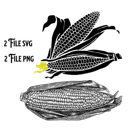 Corn SVG Corn PNG Corn Clipart Corn Cut File Corn Stencil - Etsy