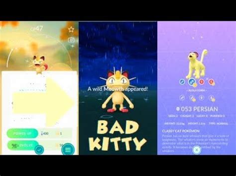 Shiny Alolan Meowth Pokemon Go Rarity - pic-focus