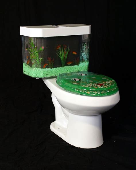 5+ Toilet With Fish Tank Article - ujnamzaina