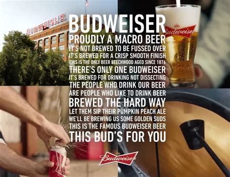 Budweiser Super Bowl Ad Mocking Craft Beer, Hipsters Draws Backlash | Money