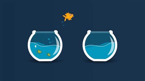 Fish Bowl Fish Tank Aquarium Goldfish Jump | Free to use und… | Flickr