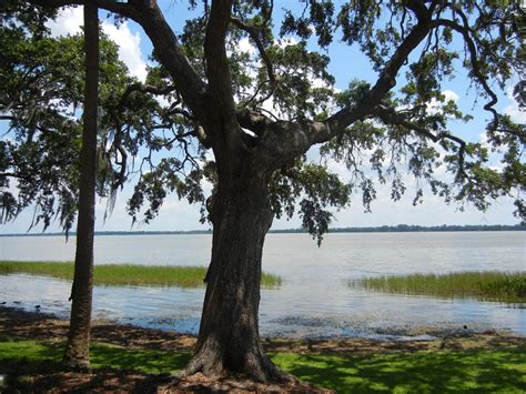 Picture Perfect: Beautiful Lake & Park