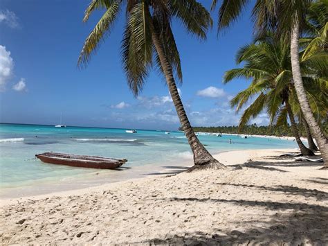 THE 15 BEST Things to Do in Isla Saona (2024) - Must-See Attractions