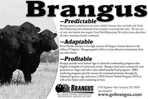 Brangus - Predictable/Adaptable/Profitable | IBBA Brangus Ad… | Go Brangus | Flickr