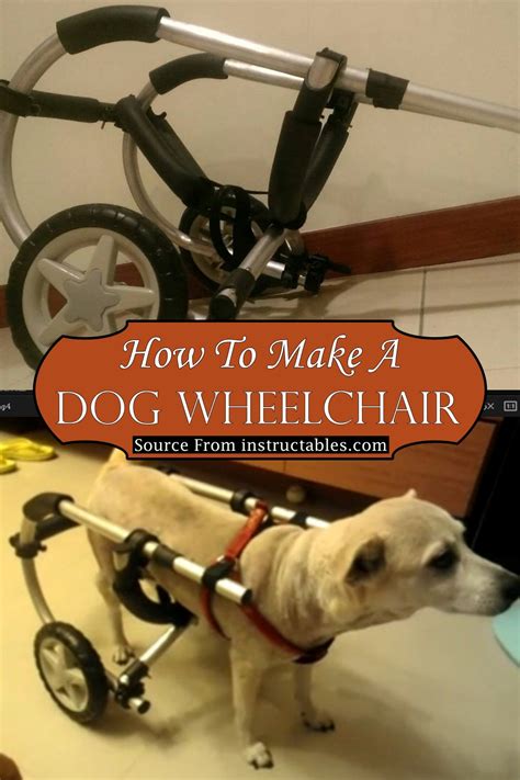 DIY Dog Wheelchair Plans & Tutorials for Mobility-Challenged Dogs