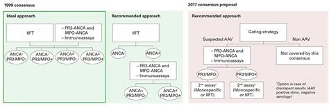 Guidelines for diagnosis and therapy of ANCA-associated vasculitides ...