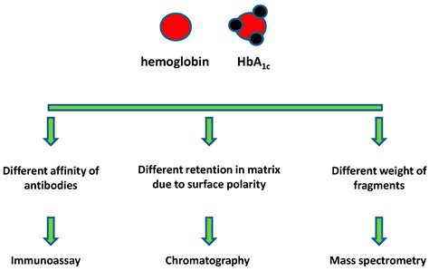 Glycosylated Hemoglobin Can Best Be Described as - Douglas-has-Cardenas