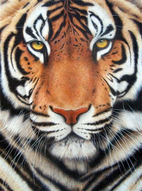 Diamond Painting Kit Tiger Square Diamond Full Cover Animal - Etsy | Tiger pictures, Majestic ...