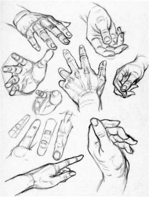 How to Draw Hands - Reference Sheets and Guides to Drawing Hands - How ...