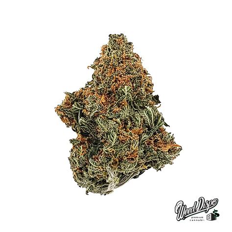 Gorilla Glue # 4 - Weed Dispo