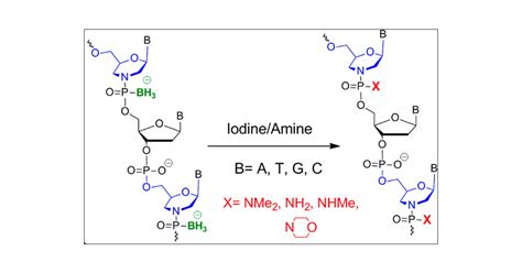 Synthesis of Phosphorodiamidate Morpholino Oligonucleotides and Their Chimeras Using ...