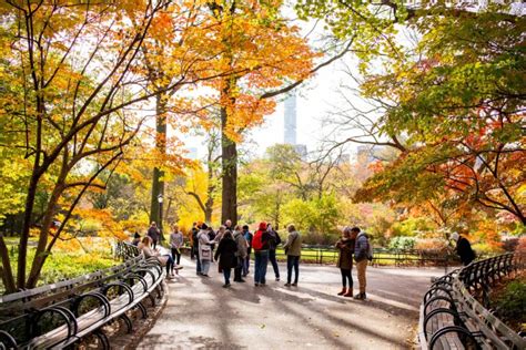 10+ BREATHTAKING Spots for Fall Foliage in New York City