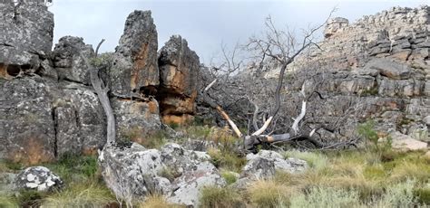 The Cederberg Hiking Trails - She Hikes ... A lot!