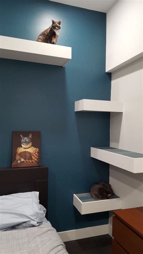 modern-cat-shelves-in-bedroom | HomeMydesign