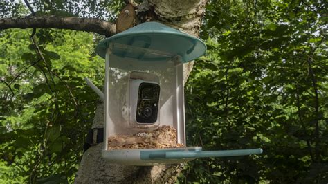 The best bird feeder camera in 2024: birdwatching at home | TechRadar