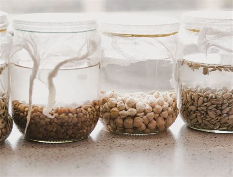 5 Tips for Soaking Seeds Before Planting