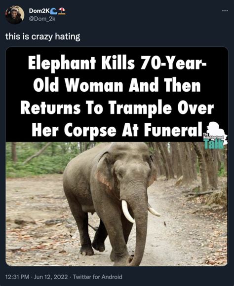 Elephant Tramples Woman at Funeral (meme) | Elephant Tramples Woman's Funeral | Know Your Meme